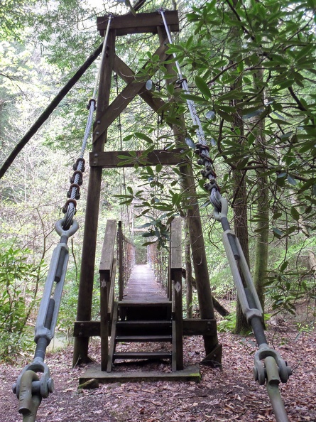 Suspension bridge
